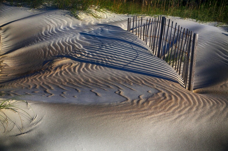 dune fence