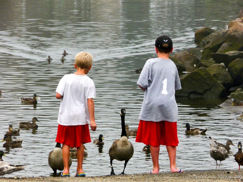 Feeding the Ducks