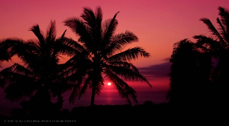 Maui Sunrise