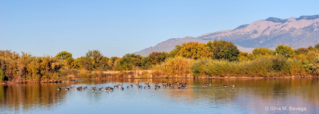 The Bosque