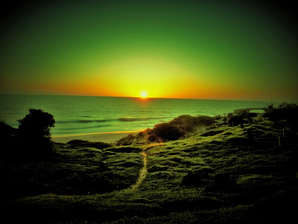 paradise
