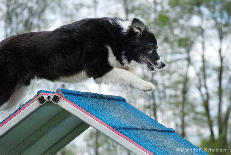 Leapin' Keegan