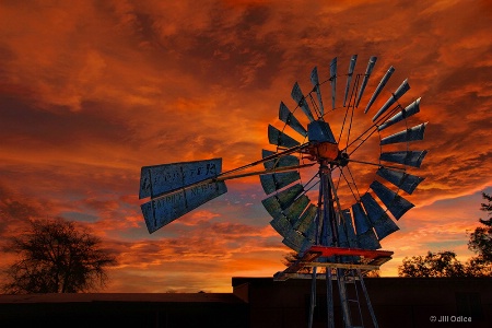 Mojave Desert Sunset