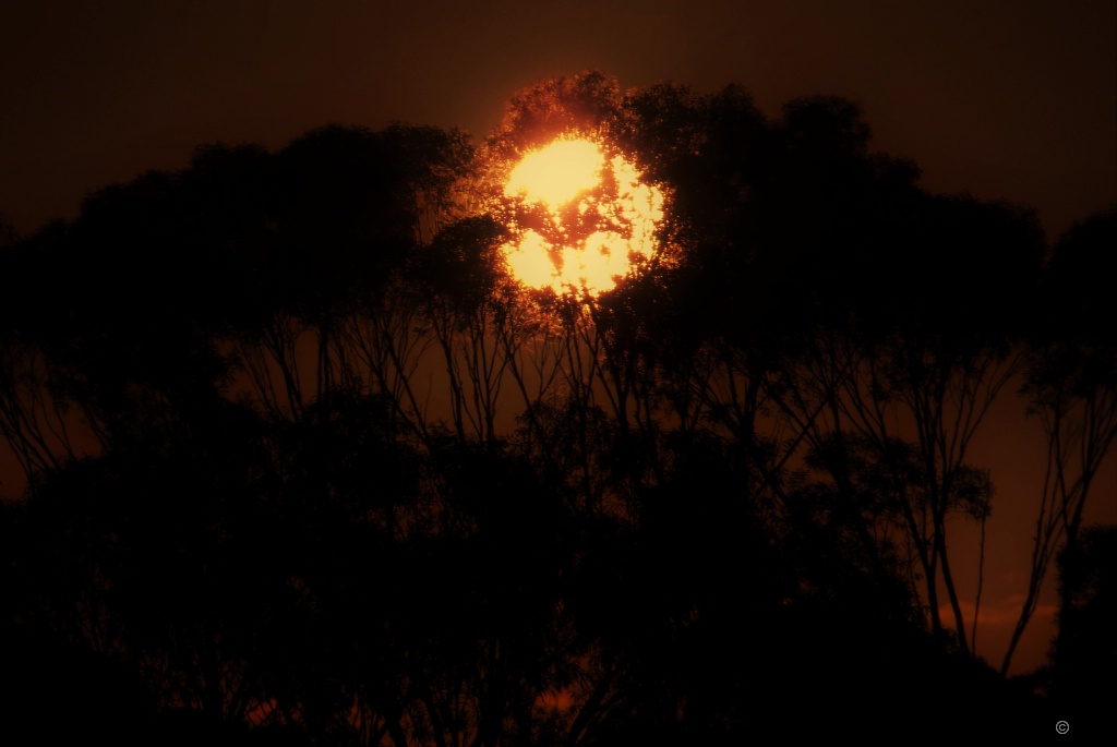 Masked Sun