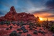 Torrent Arch Suns...