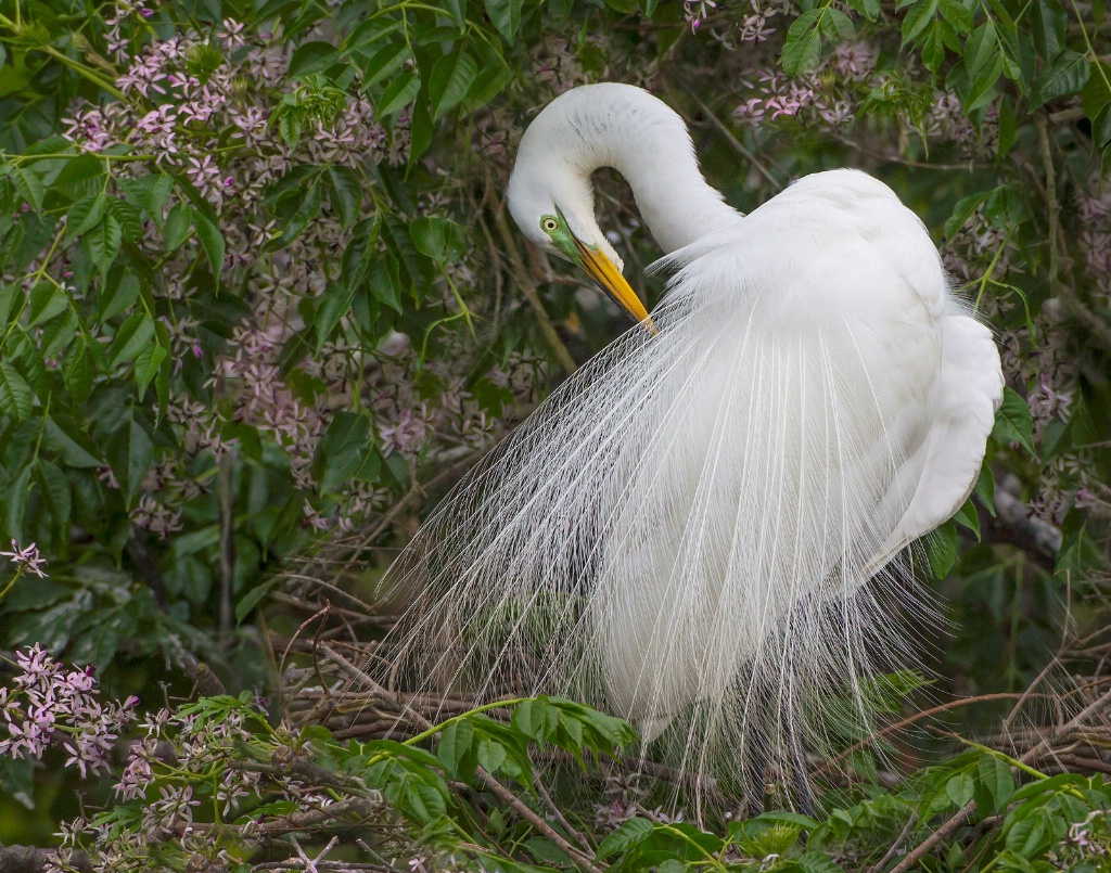 Flower Nest