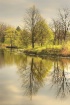 Spring Reflection...