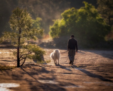 Best Buds Out for an Early Morning Walk