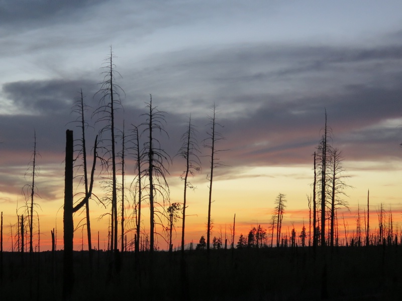 Desert Sunset - ID: 15131585 © Nancy Auestad