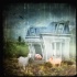 © Sheila Babbie PhotoID # 15131778: Animal House