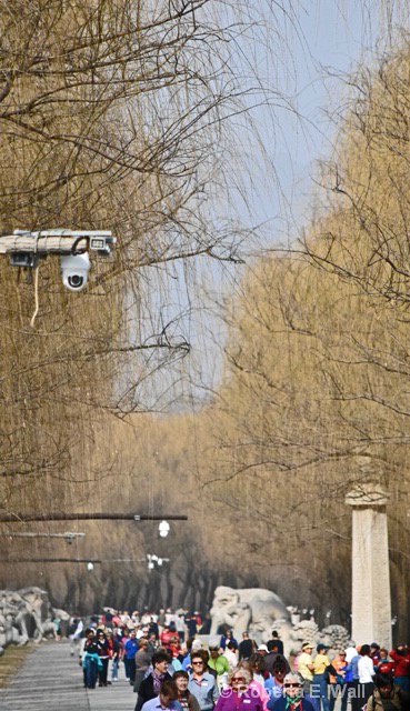 cameras in park