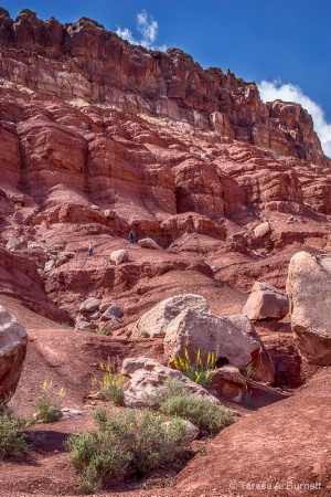 The Vermillion Cliffs