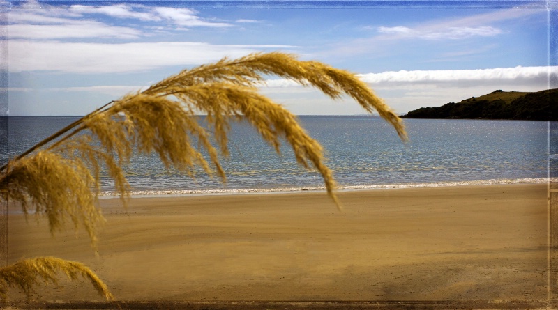 Lee Bay, Stewart Island