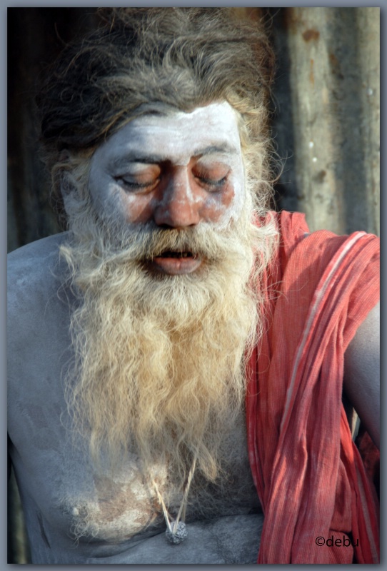 Indian Sadhu(Holy Man)
