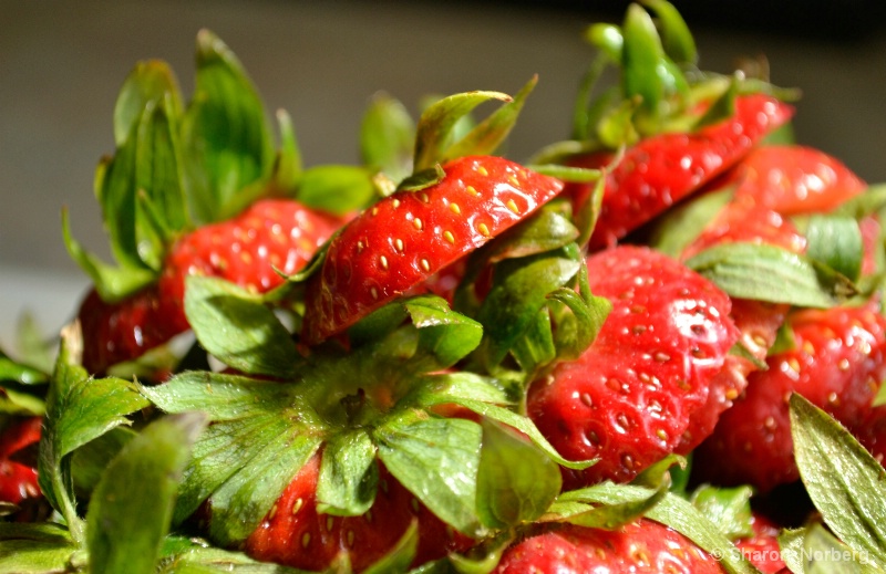 Cutting Strawberries