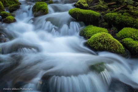 Sol Duc Creek 1