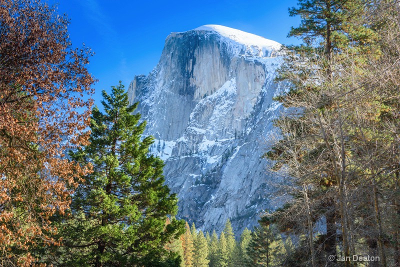 Snow Capped Half Dome