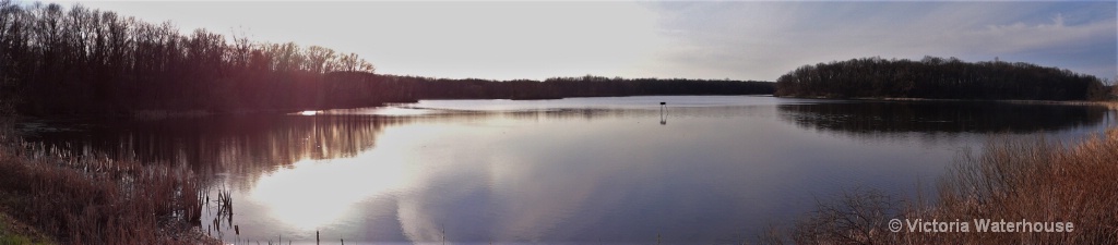 Bird Lake 