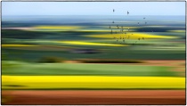 April 2016 Photo Contest 2nd Place Prize Winner