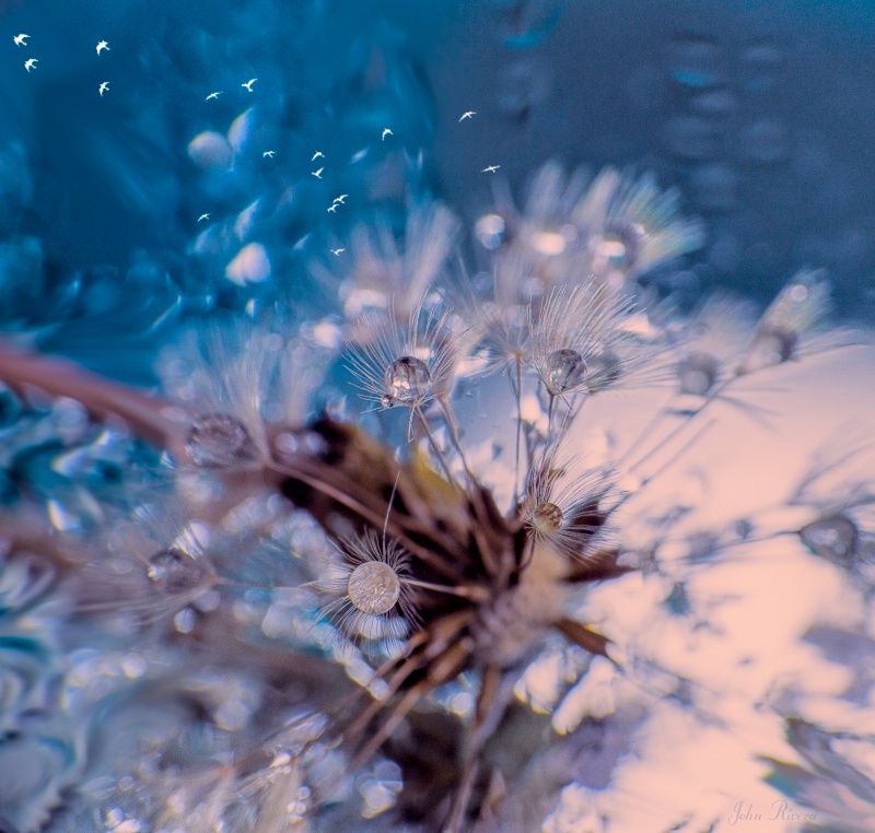 img5