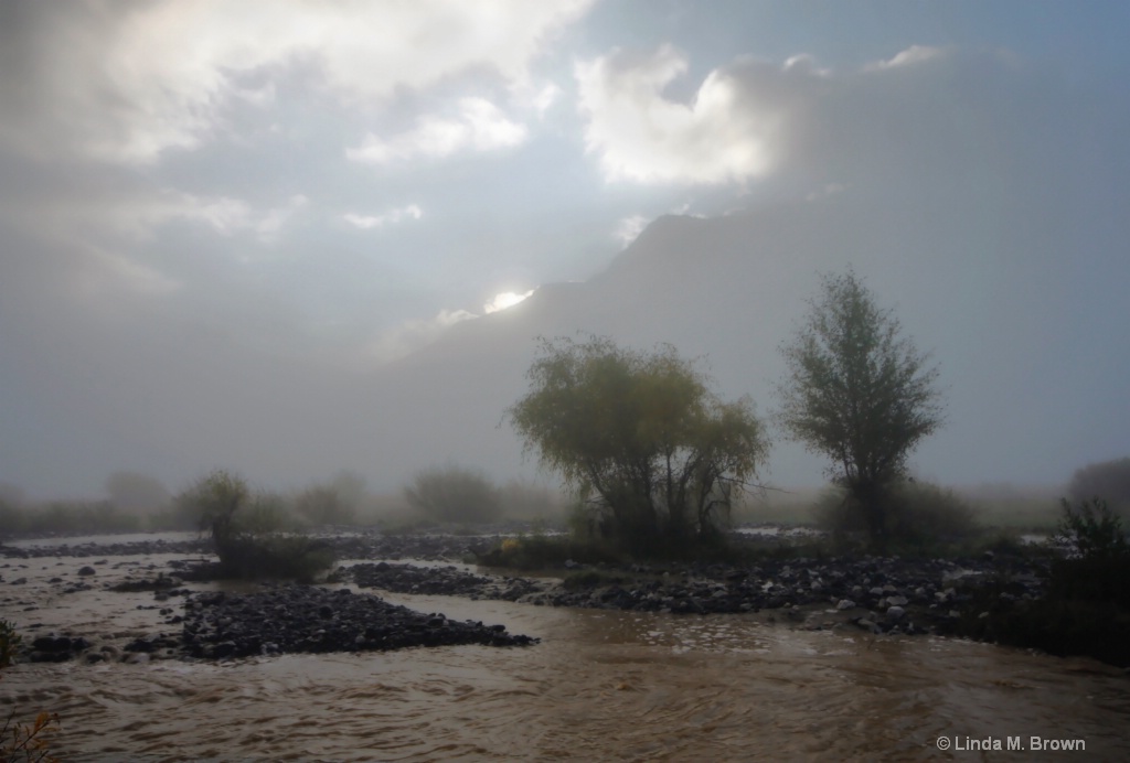 Misty Morning on Pebble Creek