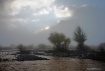Misty Morning on ...