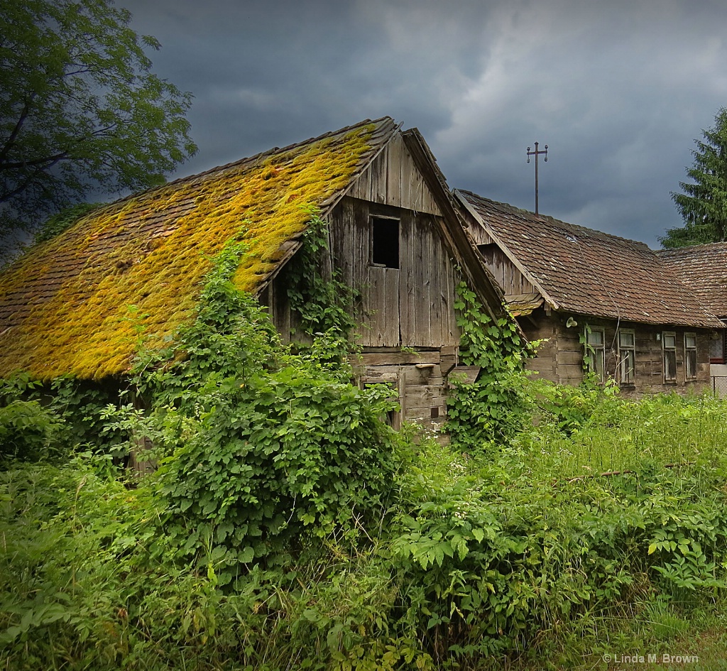 Peasant Home on the Sava River, Croatia