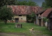 Home Along the Sa...
