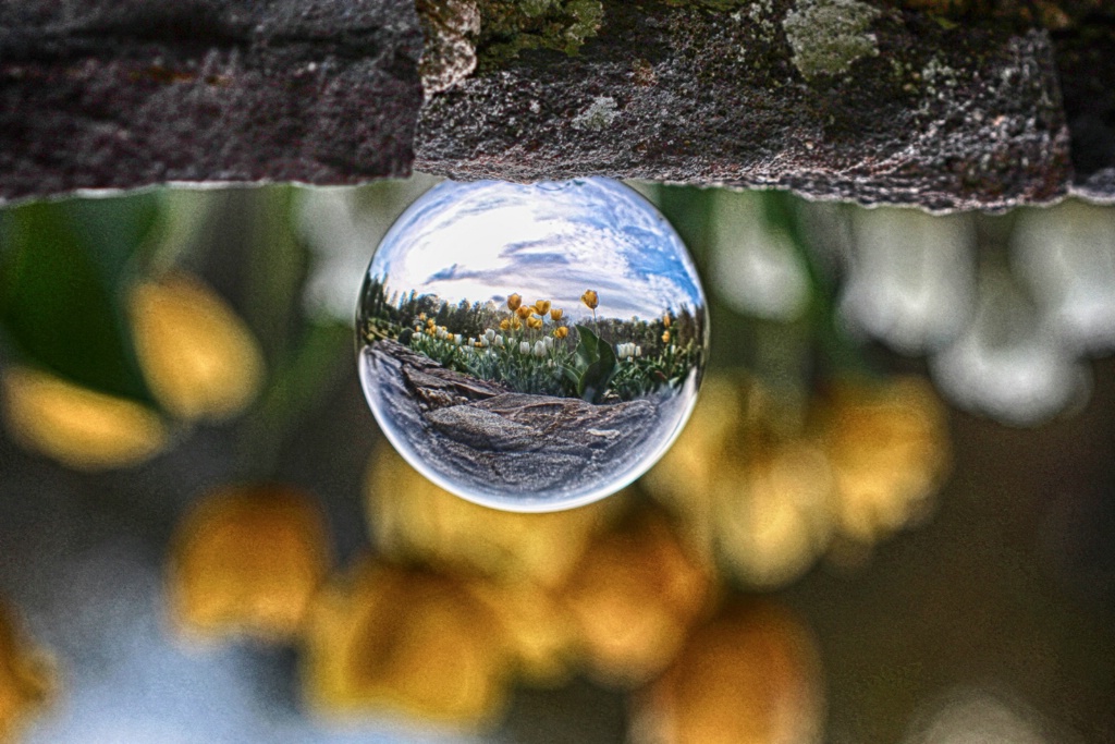 Crystal Ball Photography