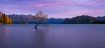 Standing Alone