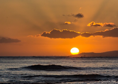 Evening Sun Waikiki