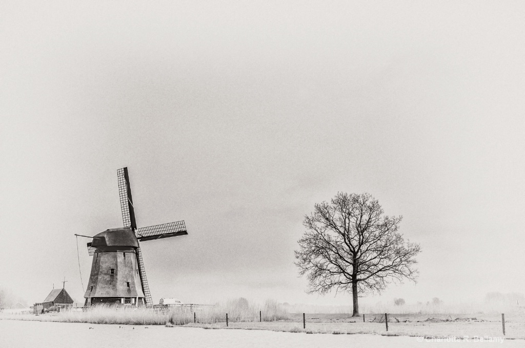 Dutch windmill on a grey rainy day
