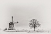 Dutch windmill on...