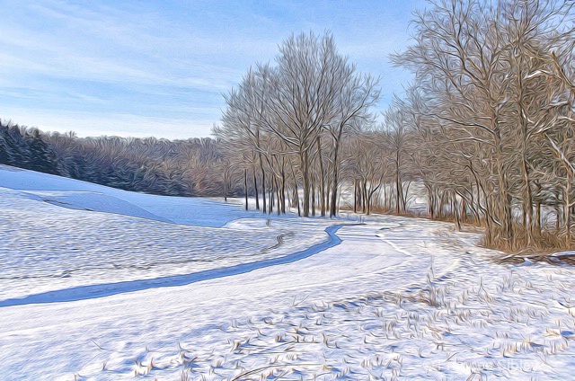 Winter on the 12th Hole