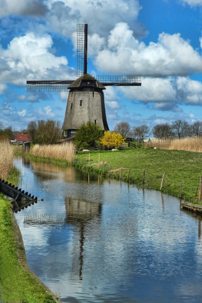 Windmill Reflection