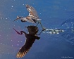 Blue Heron Dance