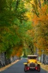 My Country Ride