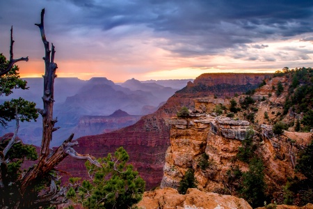 South Rim Lookout 