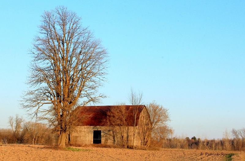 Country Life