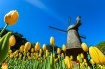 Spring Dutch Gard...