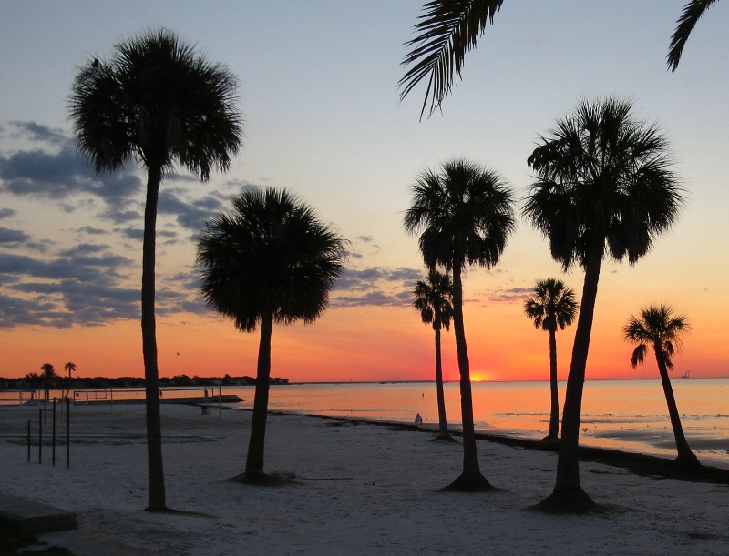 Sunrise on Tampa Bay