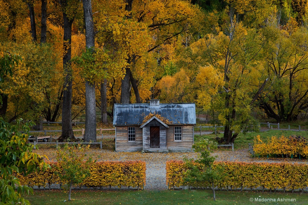 Cabin-In-The-Woods