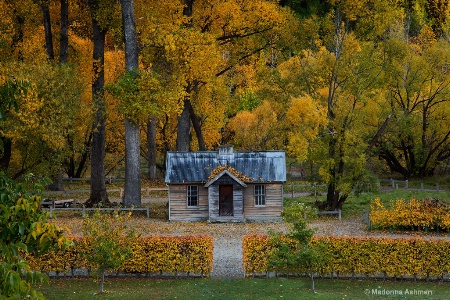 Cabin-In-The-Woods