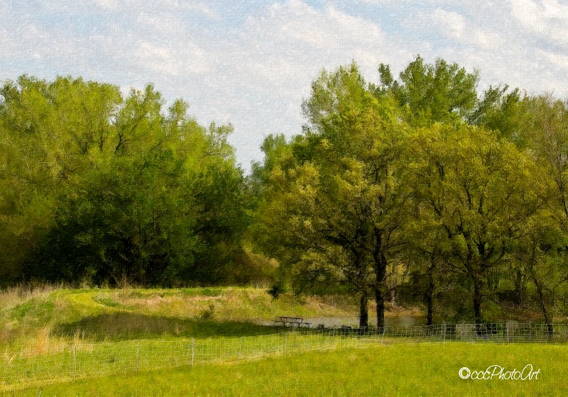 Peaceful Pond