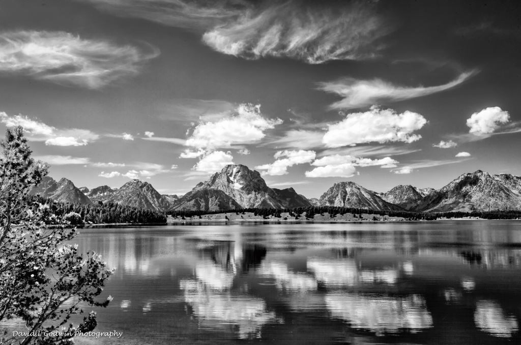 Grand Tetons BW