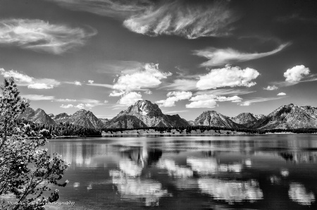 Grand Tetons BW