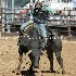 © Diane Garcia PhotoID# 15142851: UHS Rodeo SF16 Bulls 2.JPG