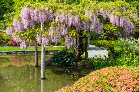 Seattle Japanese Garden