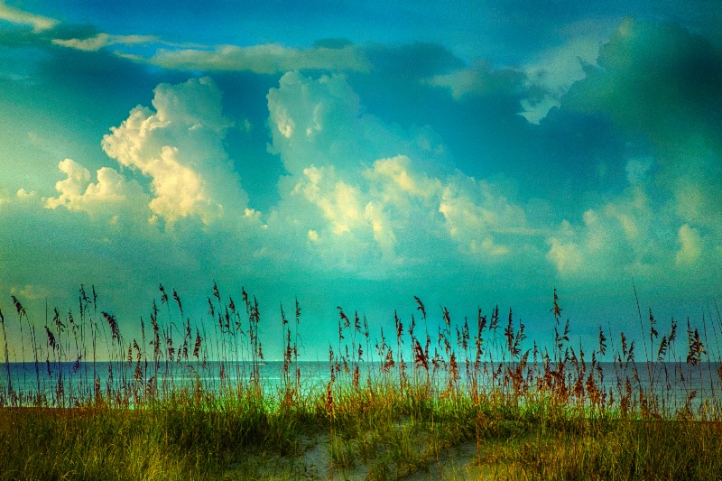 Sea Oats an Clouds