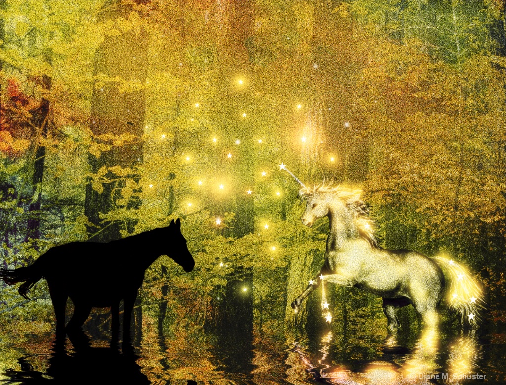 A Magic Encounter In The Enchanted Forest